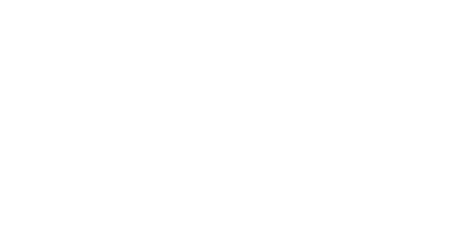 BITMOTORS — Rent a Car